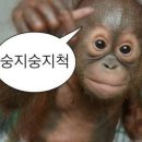 장미미소약국 | 프랑스 9박 10일 여행