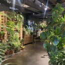 어반브런치 이미지