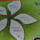 그린마인드 이미지