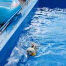 이쁘개 즐겁개 이미지