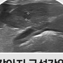 만덕24시동물병원 이미지