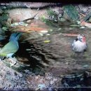 깊은산속 옹달샘 이미지