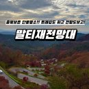 꼬부랑길 | [충북보은 가을단풍 여행] 꼬부랑길에서 트래킹도 하고, 단풍 전망도 즐기고! 보은 단풍 명소 <말티재...