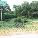 축현1리 경로당 이미지