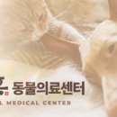 휴메디칼 이미지