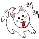 모모애견 이미지