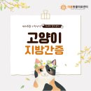 원주더봄동물의료센터 이미지