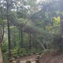 야호학산유아숲체험원 이미지