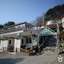 펜션백궁 티스토리