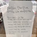 테테하우스 | 원주 테테하우스, 햇살 가득한 사랑스러운 채광 맛집 카페 방문 후기