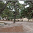 탈해왕릉 티스토리