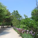 내평계곡야영장 이미지