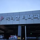 손품발품) 충북 보은 단풍명소 '말티재 전망대' 방문 후기(실시간 단풍 현황)