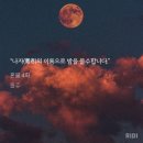 홍불 이미지