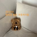 마곤달 이미지