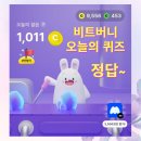 비트버니 퀴즈 정답 11월23일 후기와 고속터미털 방문 일상 일기