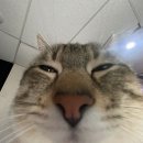 이터널PC카페 | Delulu