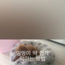 킴스 펫클리닉 이미지
