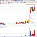 미원 태양광발전소 이미지