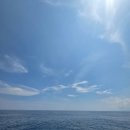 영어조합법인 바다의 아침 | 발리 여행 길리 프리다이빙 스노쿨링 동상 포인트 인생샷 한국인 가이드 업체 추천