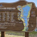 호수공원소나무숲길 이미지