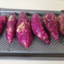 주식회사 황토인 | 해남 황토 햇 고구마 5kg 후기 베니하루카 한입 고구마 맛보기