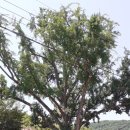 능산1리 이미지