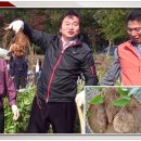 기원농장 이미지