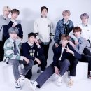 나인모티브 스타뉴스