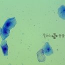 해운대플러스동물병원 이미지