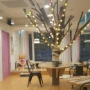 하늘을 걷는 고양이 카페 이미지