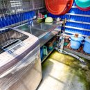 더드림 하우스 펜션 이미지