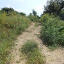 김종철농장 이미지