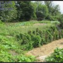 신해1리경로당 이미지