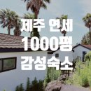 표선연세공인중개사사무소 네이버블로그
