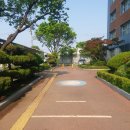 인천천마초등학교 이미지