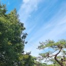 샐리제빵소 이미지