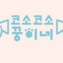 코소코소 꿍이네 네이버블로그
