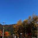 트렌들리