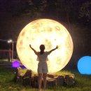 낮은울타리작은도서관 | 25년 여름, 새로운 터전에서의 시작. 동천동 뉴비입니다만?