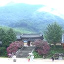 표충사 - 1903 | 표충사