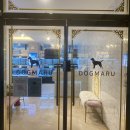 도그마루 강아지 고양이 양산화명점 이미지