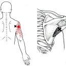 더의선한의원 이미지