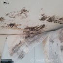 노은동로3 이미지