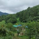 구적골농원 이미지