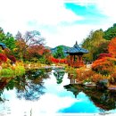 클로이펜션 이미지