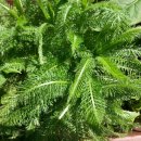 금사초등학교 이미지