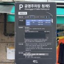 [동대문 주말 무료주차 꿀팁] 아빠가 직접 다녀온 청계5 노상 공영주차장 주차비 아끼는 명당 위치 공유...