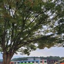 흥양초등학교 이미지