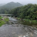 하동야생차 박물관 이미지